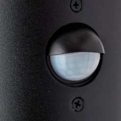 Buitenwandlamp Sergioro, 1-lamp met sensor