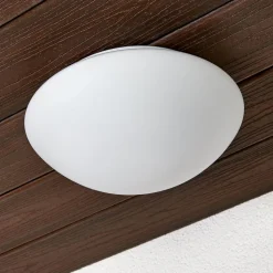 Buitenwandlamp Tokio 28 cm IP44