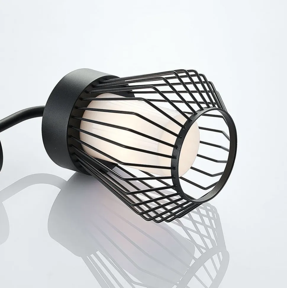 Buitenwandlamp Vajana in kooivorm