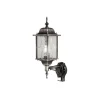 Buitenwandlamp Wexford, sensor, zwart/zilver