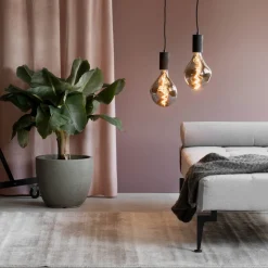 Calex Organic Evo LED lamp E27 6W dimbaar titanium