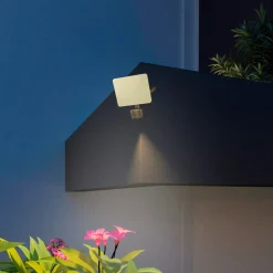 Calex Slimme Buiten Frameloze Beveiliging, Sensor CCT