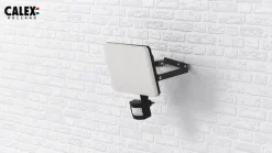 Calex Slimme Buiten Frameloze Beveiliging, Sensor CCT