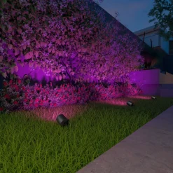 Calex Smart Buitenspot, grondspies, set van 3