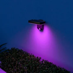 Calex Smart buitenwandlamp op zonne-energie, sensor, RGBW