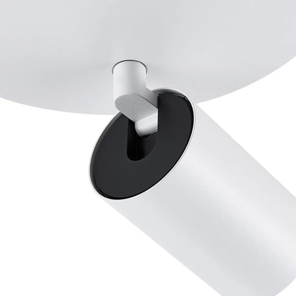 CAN TILT plafondspot, wit, Ø 20 cm, 2-lamps, metaal, GU10