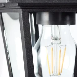 Carleen buitenwandlamp, hanglamp, zwart, metaal, glas