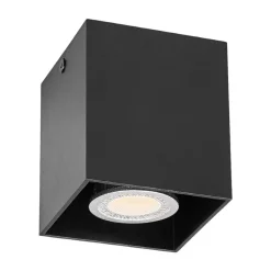 Carson - Plafondspot in zwart