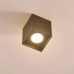 Carson - Plafondspot in zwart