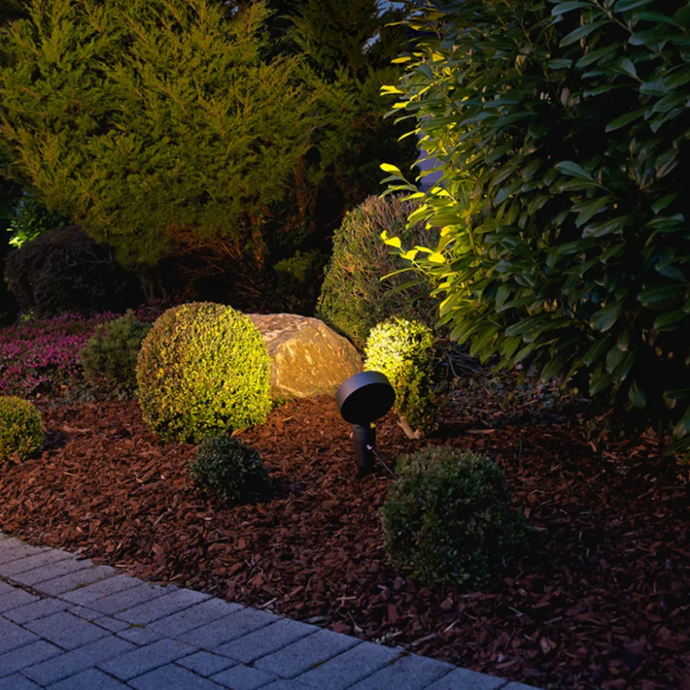 Cassian LED grondspies lamp