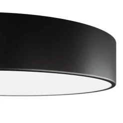 Cleo plafondlamp, Ø 20 cm, IP54, zwart, metaal, E27