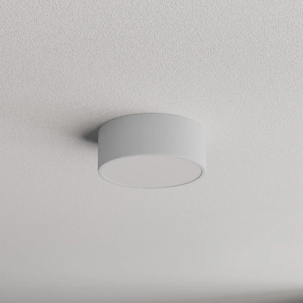 Cleo plafondlamp, Ø 20 cm, IP54, grijs, metaal, E27