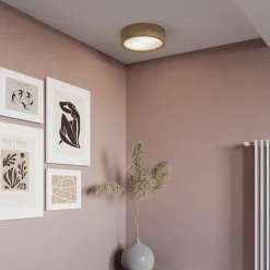 Cleo plafondlamp, Ø 28 cm, 2-lamps, eikenhout, E27