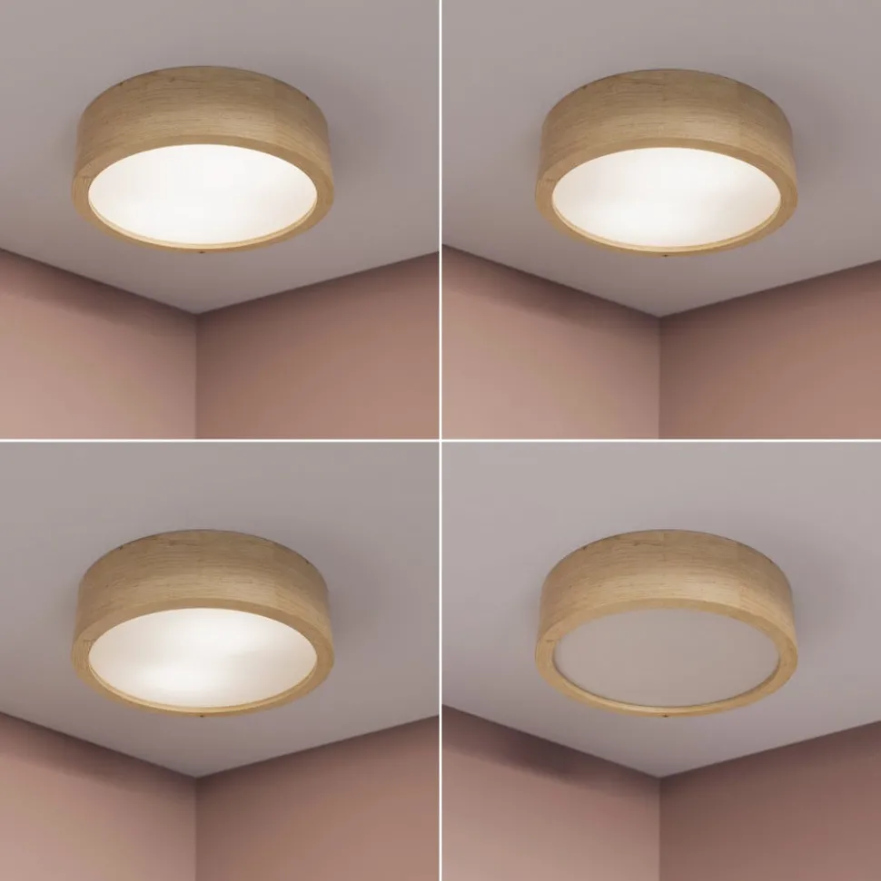 Cleo plafondlamp, Ø 28 cm, 2-lamps, eikenhout, E27