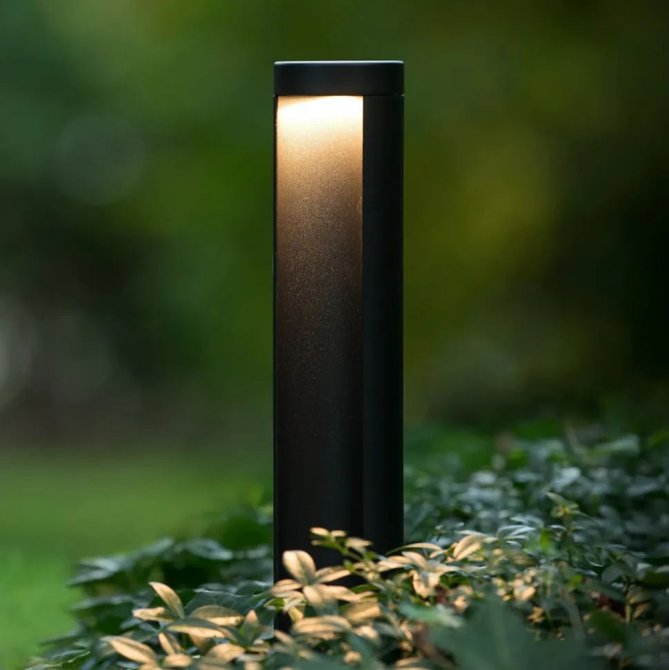 Combo LED tuinpadverlichting, zwart, 65 cm, aluminium, IP54