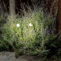 Cuca LED sokkellamp, zwart, roestvrij staal/glas, hoogte 65 cm