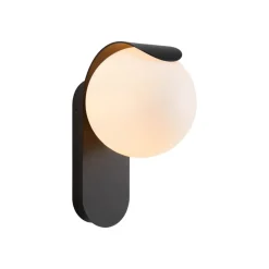 Dalius buitenwandlamp, zwart, bolvormige witte kap