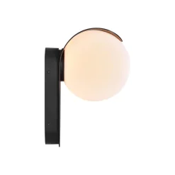 Dalius buitenwandlamp, zwart, bolvormige witte kap
