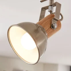 Dennis plafondlamp met hout, 2-lamps.