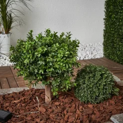 Dew Drop - lichtketting 250 cm lang