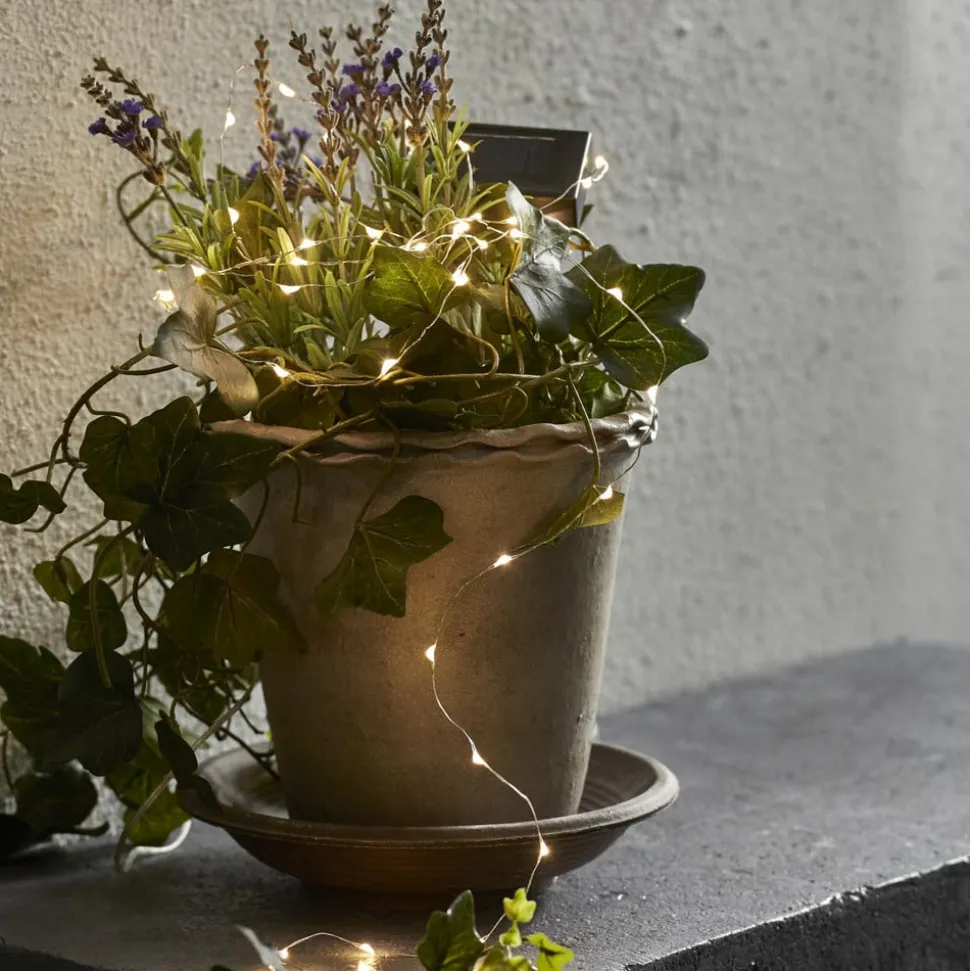 Dew Drop - lichtketting 250 cm lang