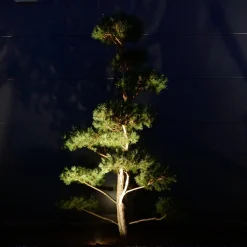 dot Clarios Mini prikspot verlenging