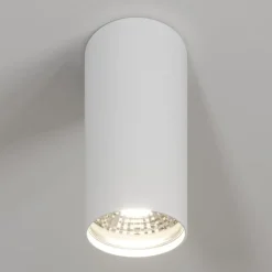 Downlight Eye S in cilindervorm, wit