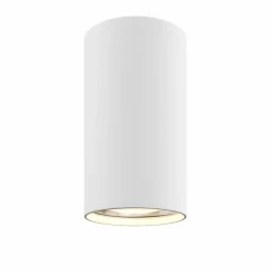 Downlight Eye S in cilindervorm, wit