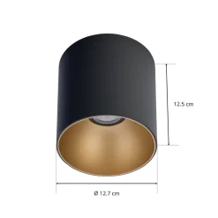 Downlight Point Tone, zwart/goud