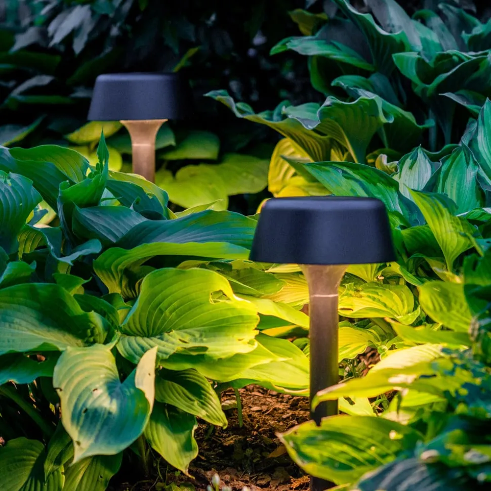 Dyberg Larsen Valencia padlamp op zonne-energie, zwart