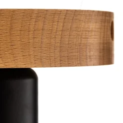 Envostar Esan plafondlamp beukenhout 1-lamp