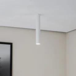 Euluna Thalassa Downlight 1-lamp wit hoogte 40 cm