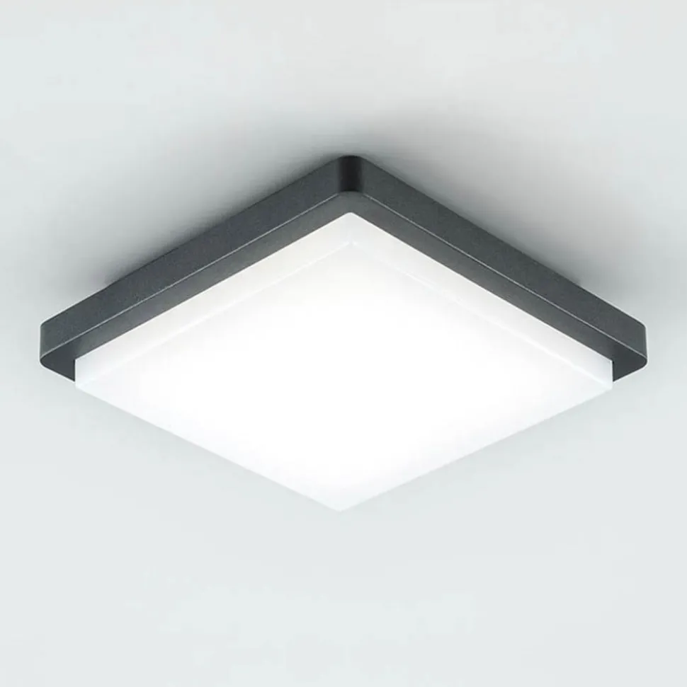 EVN LED buiten plafondlamp Tectum, 23x23 cm, antraciet, 150°