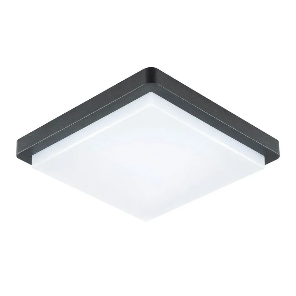 EVN LED buiten plafondlamp Tectum, 23x23 cm, antraciet, 150°