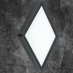 EVN Tectum LED buiten plafondlamp hoekig met glas