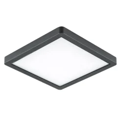 EVN Tectum LED buiten plafondlamp hoekig met glas