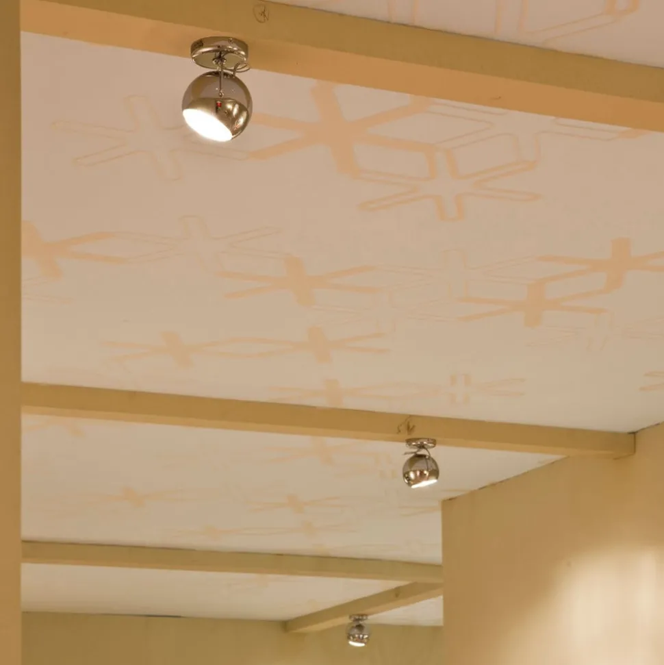 Fabbian Beluga staal plafondlamp direct 1-lamp