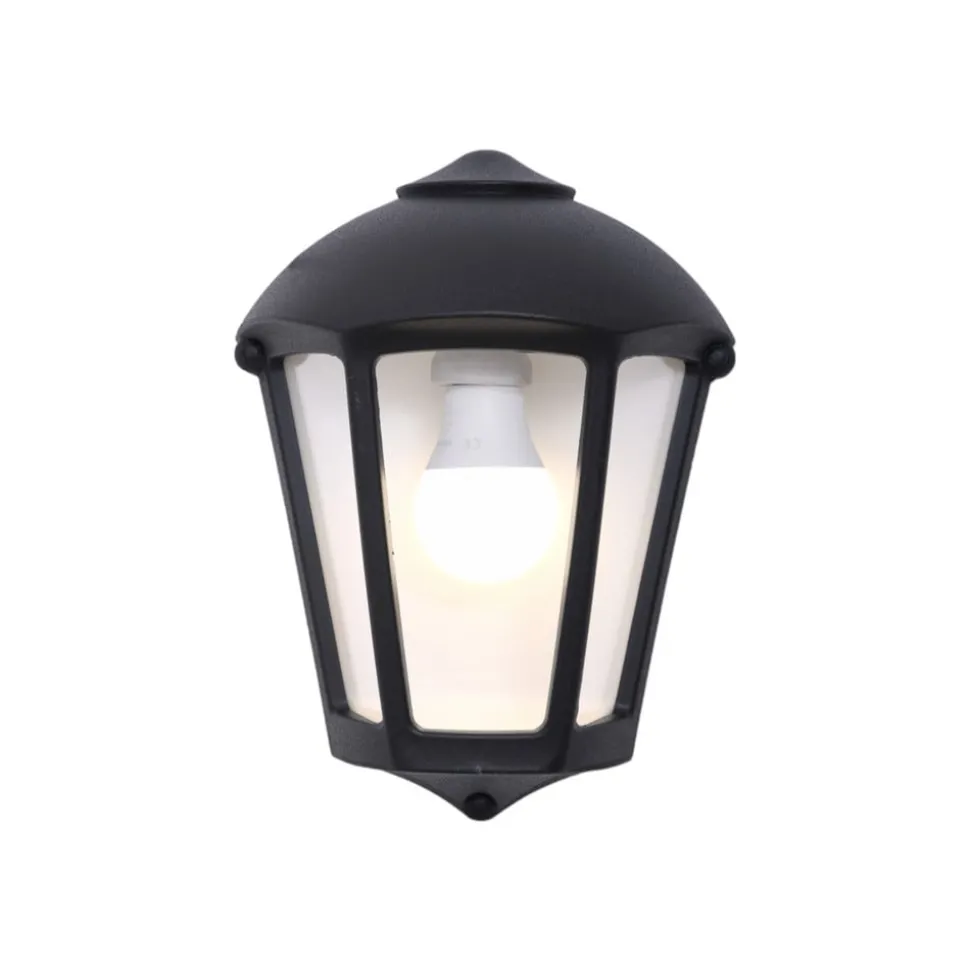 Fabio buitenwandlamp, zwart/helder, kunsthars, E27 CCT