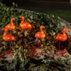 Flamingo LED sfeerlamp in een set van 5