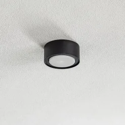 Flea stalen plafondspot, zwart