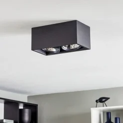 FLOS Compass box H135 - plafondlamp 2-lamps zwart