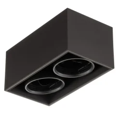 FLOS Compass box H135 - plafondlamp 2-lamps zwart