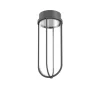 FLOS In Vitro Ceiling plafondlamp 2.700K antraciet