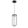 FLOS In Vitro Suspension, 2.700 K, donkergroen
