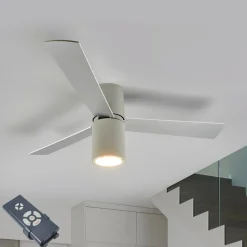 FORMENTERA plafondventilator met afstandsbediening