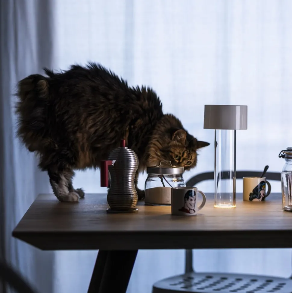 Foscarini LED tafellamp Fleur, wit