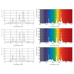 G13 T8-TL-D-lamp Master Eco van 16W, 830