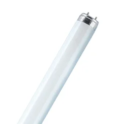 G13 T8-tl-lamp skywhite LUMILUX van 58W, 880