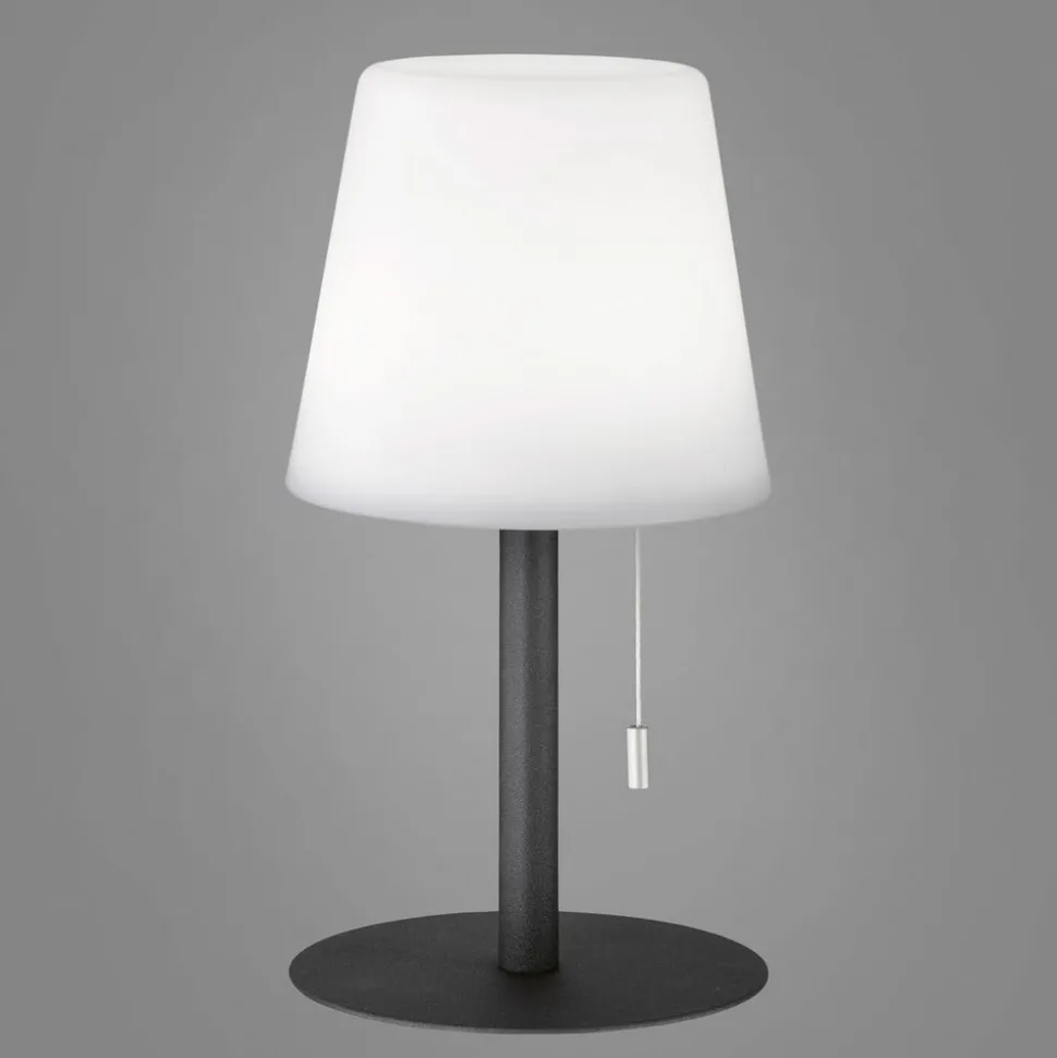 Garden LED tafellamp, dimbaar, met kleurverandering