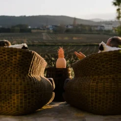 Goodnight Light Pinacolada sfeerlamp roze RGBW